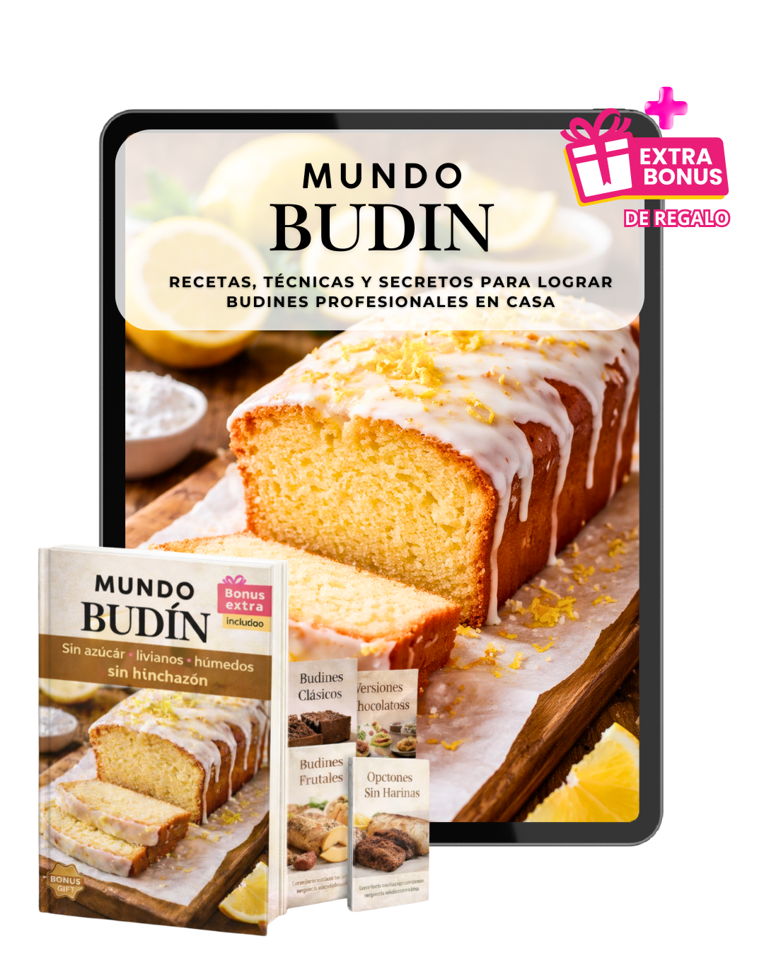 MUNDO BUDINES: Recetas, Técnicas y Secretos